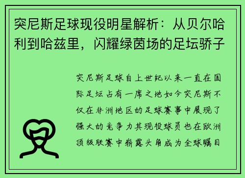 突尼斯足球现役明星解析：从贝尔哈利到哈兹里，闪耀绿茵场的足坛骄子