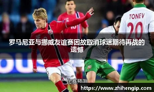 yy易游mile官网入口